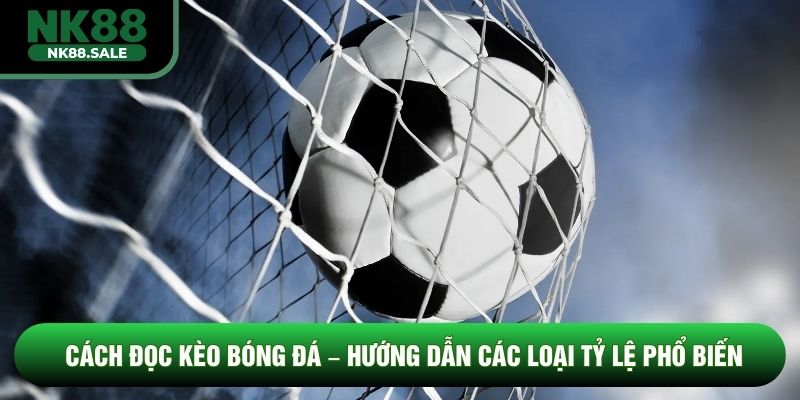 Cách Đọc Kèo Bóng Đá – Hướng Dẫn Các Loại Tỷ Lệ Phổ Biến